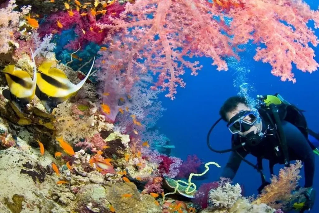 diver in red sea use our service with Red Sea Diving Academy in Hurghada after he book online