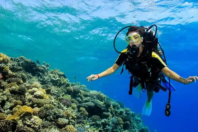 diver in red sea use our service with Red Sea Diving Academy in Hurghada after he book online