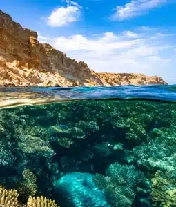 Red Sea unique Corals with Egypt mountain